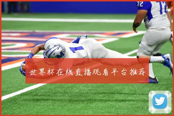 世界杯在线直播观看平台推荐