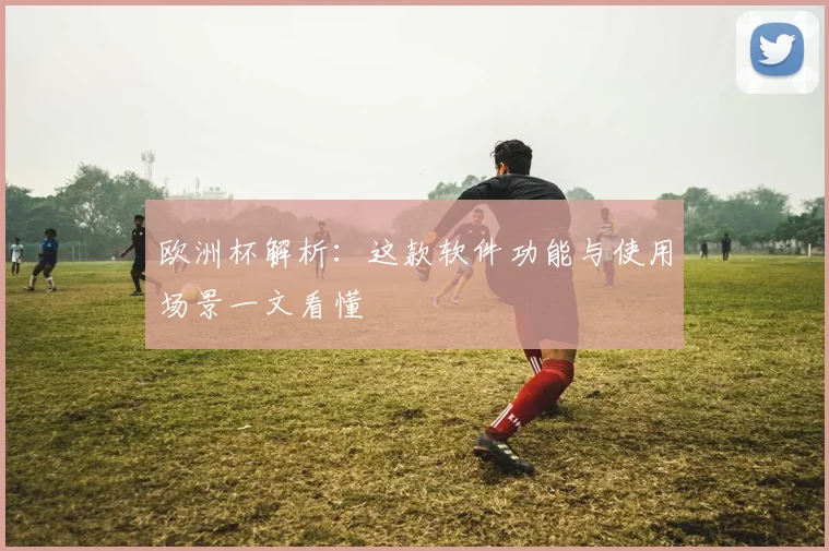 欧洲杯解析:这款软件功能与使用场景一文看懂