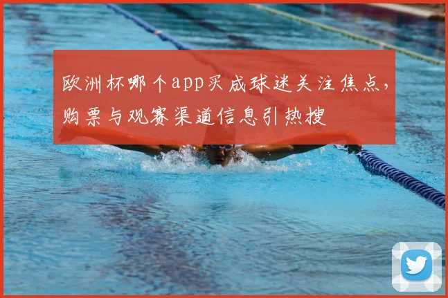 欧洲杯哪个app买成球迷关注焦点,购票与观赛渠道信息引热搜