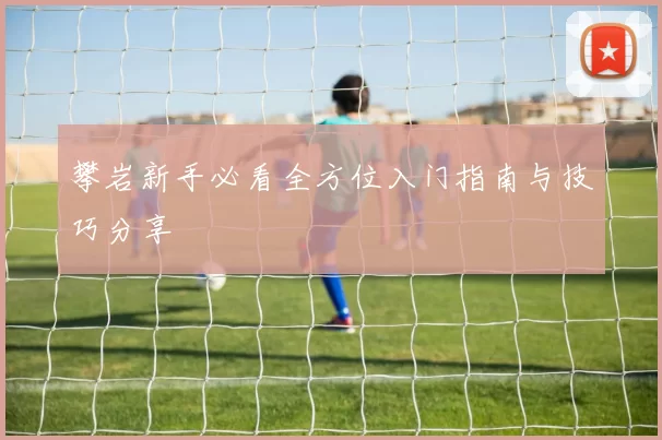 攀岩新手必看全方位入门指南与技巧分享