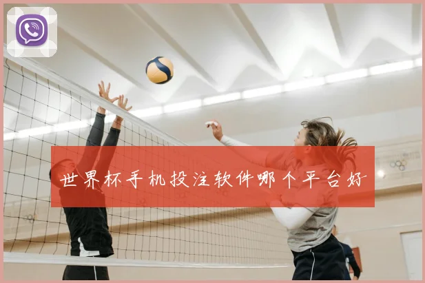 世界杯手机投注软件哪个平台好