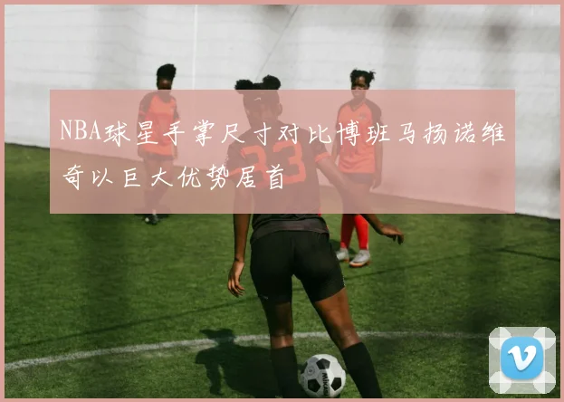 NBA球星手掌尺寸对比博班马扬诺维奇以巨大优势居首