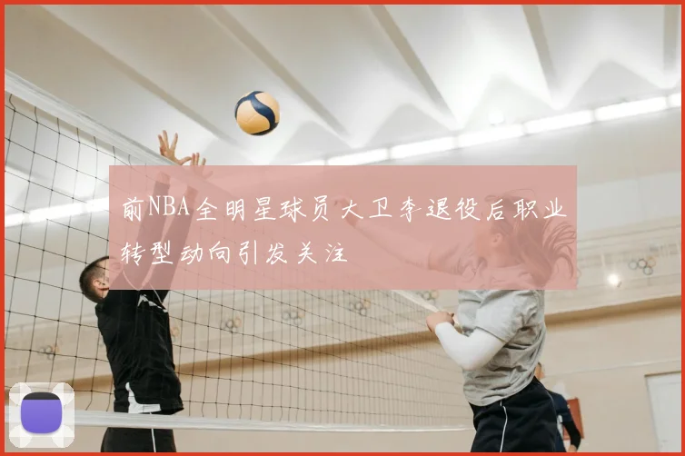 前NBA全明星球员大卫李退役后职业转型动向引发关注