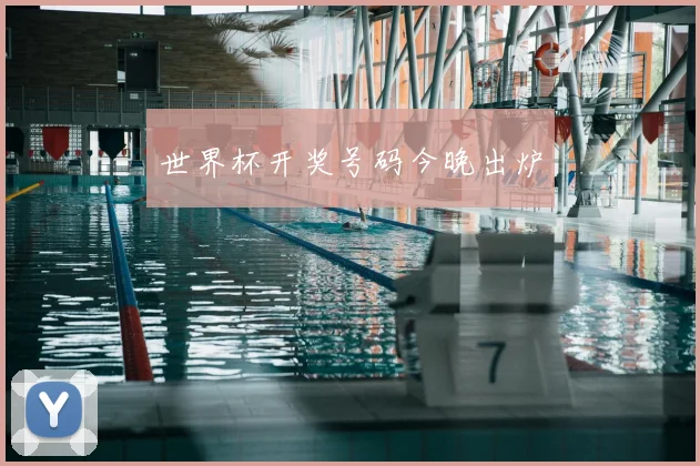 世界杯开奖号码今晚出炉