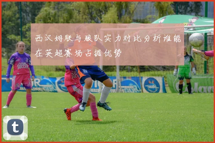 西汉姆联与狼队实力对比分析谁能在英超赛场占据优势