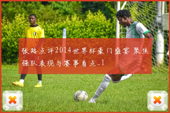 张路点评2014世界杯豪门盛宴 聚焦强队表现与赛事看点_1