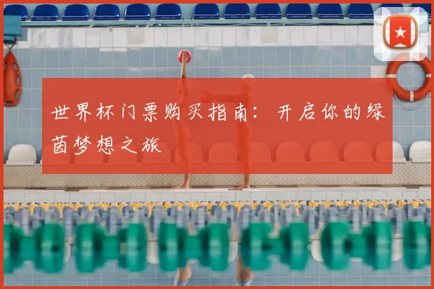 世界杯门票购买指南：开启你的绿茵梦想之旅