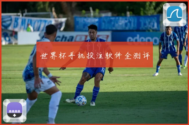 世界杯手机投注软件全测评