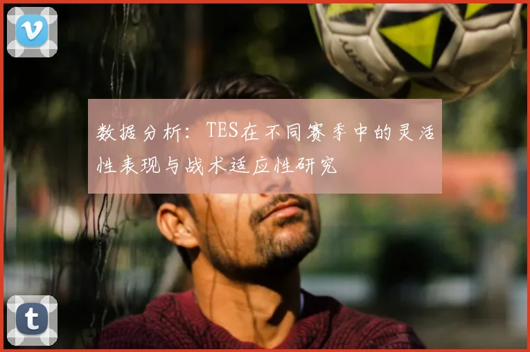 数据分析:TES在不同赛季中的灵活性表现与战术适应性研究