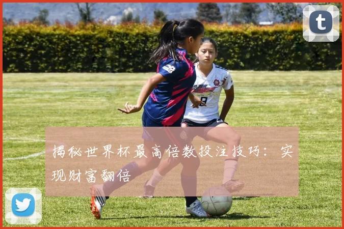 揭秘世界杯最高倍数投注技巧：实现财富翻倍