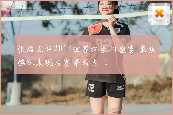 张路点评2014世界杯豪门盛宴 聚焦强队表现与赛事看点_1