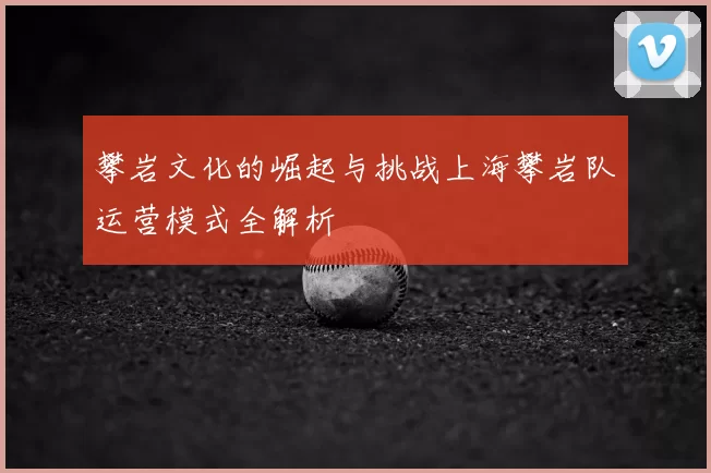 攀岩文化的崛起与挑战上海攀岩队运营模式全解析
