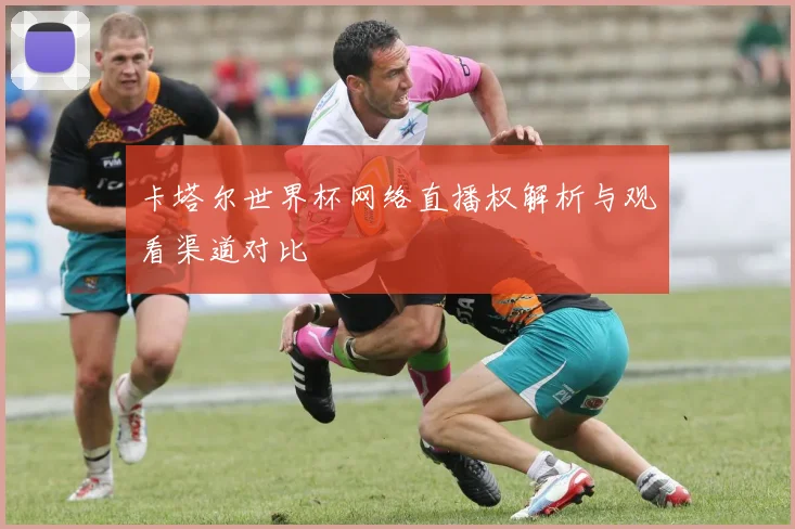 卡塔尔世界杯网络直播权解析与观看渠道对比