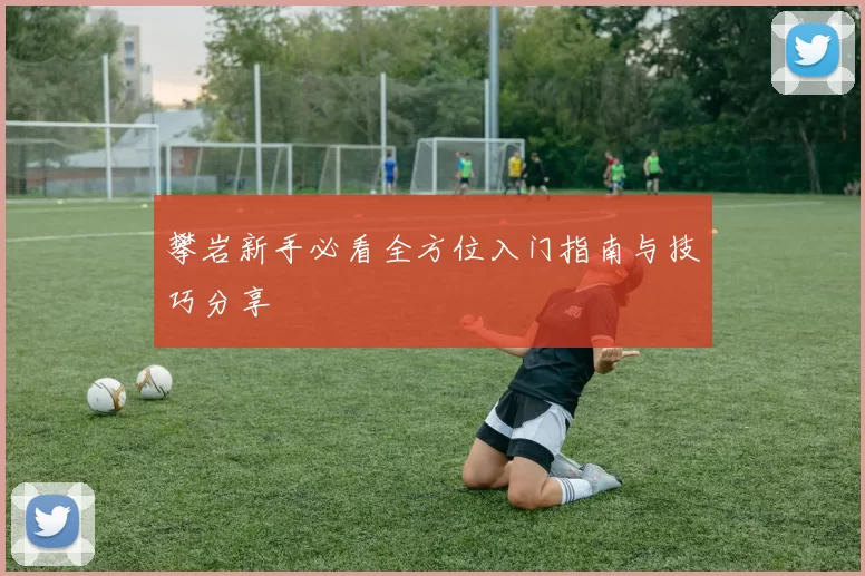 攀岩新手必看全方位入门指南与技巧分享