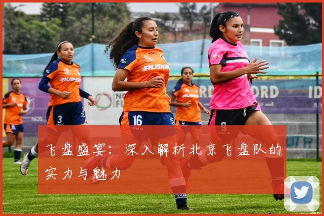 飞盘盛宴：深入解析北京飞盘队的实力与魅力